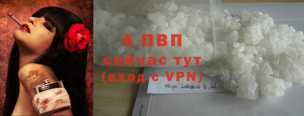 винт Горно-Алтайск