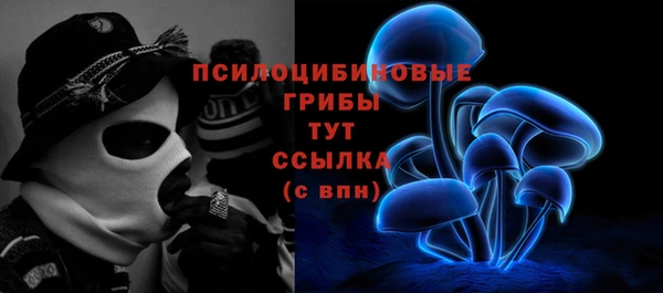 винт Горно-Алтайск