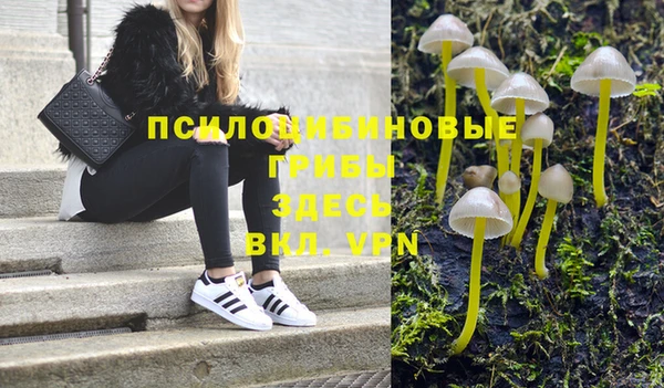 винт Горно-Алтайск