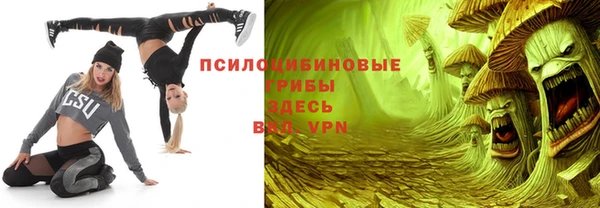 винт Горно-Алтайск