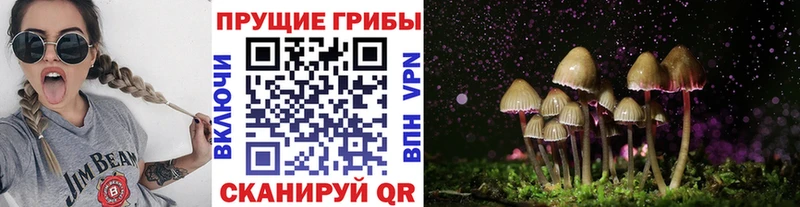 сайты даркнета какой сайт  Мценск  Галлюциногенные грибы MAGIC MUSHROOMS  цена  