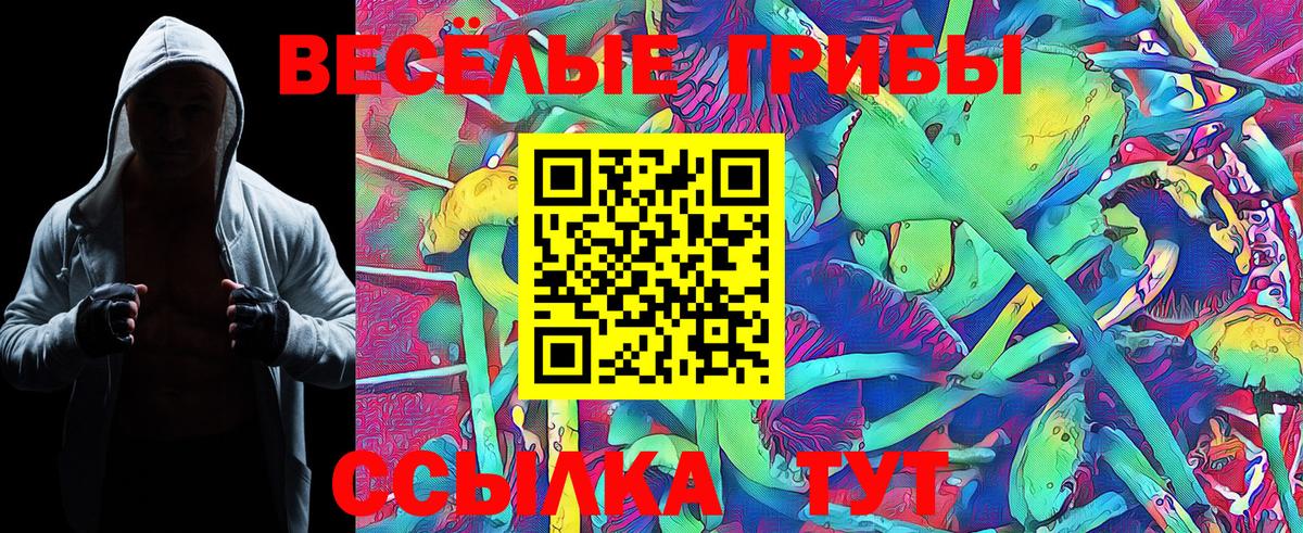Псилоцибиновые грибы Psilocybe Мценск