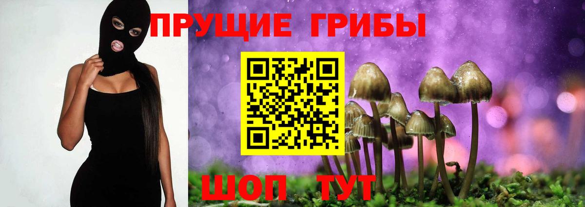 Псилоцибиновые грибы Magic Shrooms  Псилоцибиновые грибы ЛСД  Мценск  Вход с VPN 